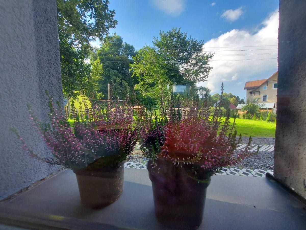 Villa Bryziówka B Miłków Exterior foto